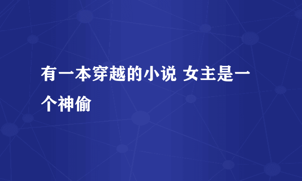 有一本穿越的小说 女主是一个神偷