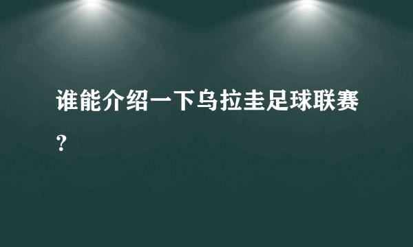 谁能介绍一下乌拉圭足球联赛？