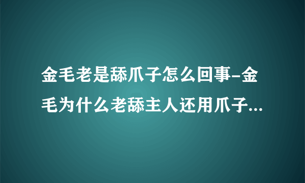 金毛老是舔爪子怎么回事-金毛为什么老舔主人还用爪子挠主人咋回事？