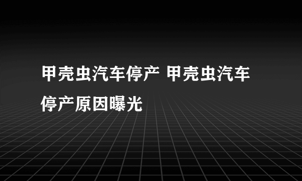 甲壳虫汽车停产 甲壳虫汽车停产原因曝光