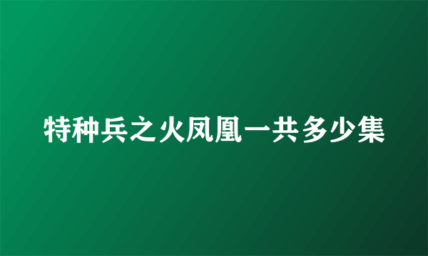 特种兵之火凤凰一共多少集