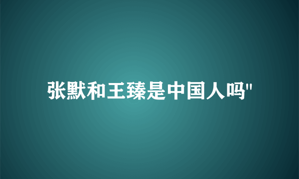 张默和王臻是中国人吗