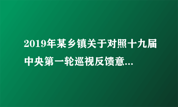 2019年某乡镇关于对照十九届中央第一轮巡视反馈意见自查问题整改报告