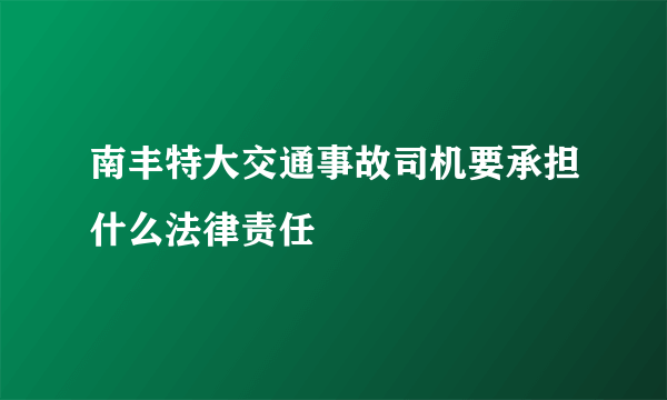 南丰特大交通事故司机要承担什么法律责任