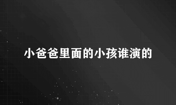 小爸爸里面的小孩谁演的