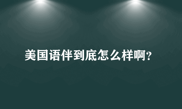 美国语伴到底怎么样啊？