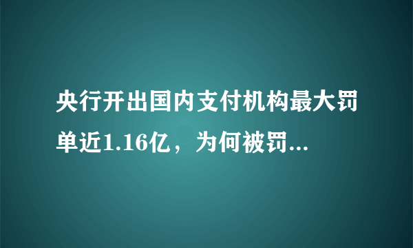 央行开出国内支付机构最大罚单近1.16亿，为何被罚这么多钱？