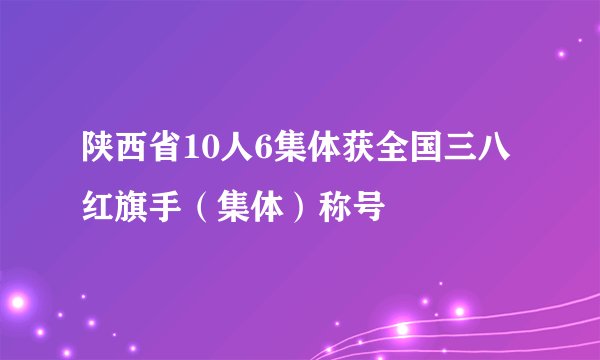 陕西省10人6集体获全国三八红旗手（集体）称号