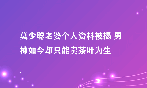 莫少聪老婆个人资料被揭 男神如今却只能卖茶叶为生