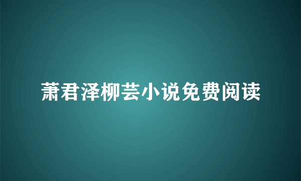 萧君泽柳芸小说免费阅读