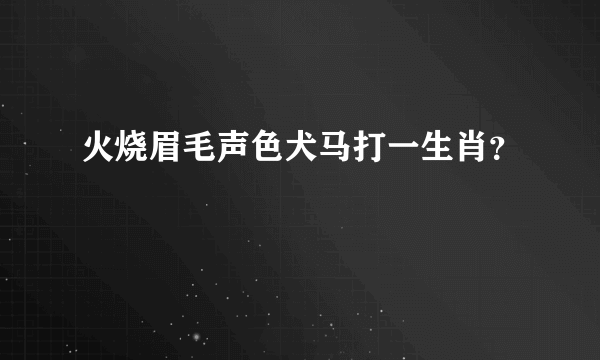 火烧眉毛声色犬马打一生肖？