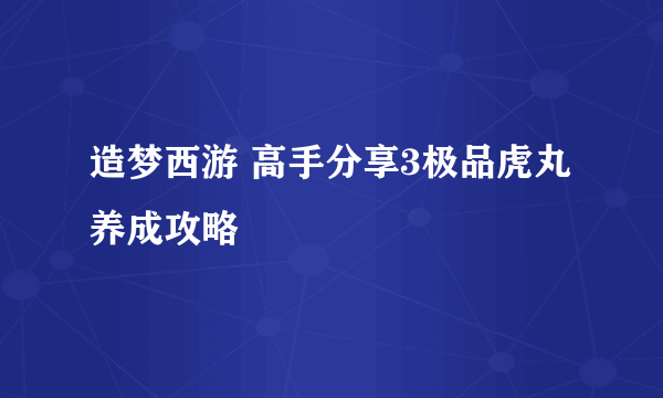 造梦西游 高手分享3极品虎丸养成攻略