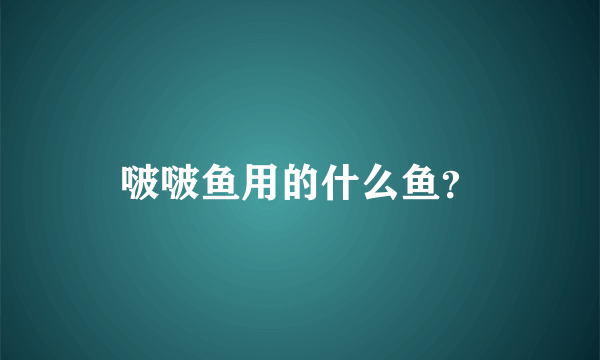 啵啵鱼用的什么鱼？