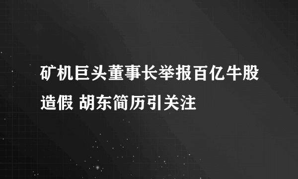 矿机巨头董事长举报百亿牛股造假 胡东简历引关注