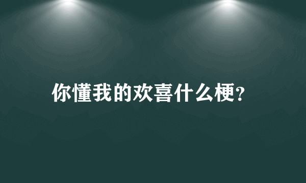 你懂我的欢喜什么梗？