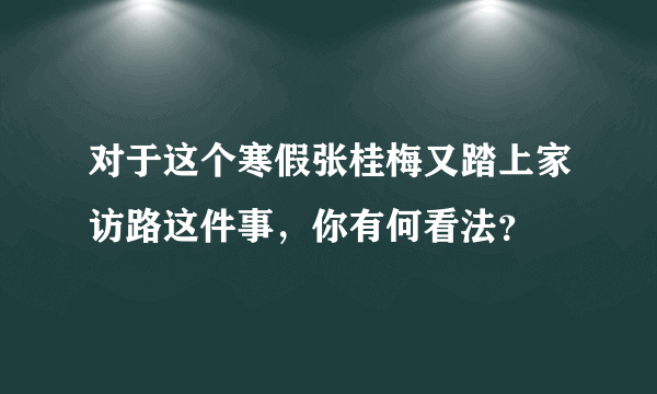 对于这个寒假张桂梅又踏上家访路这件事，你有何看法？