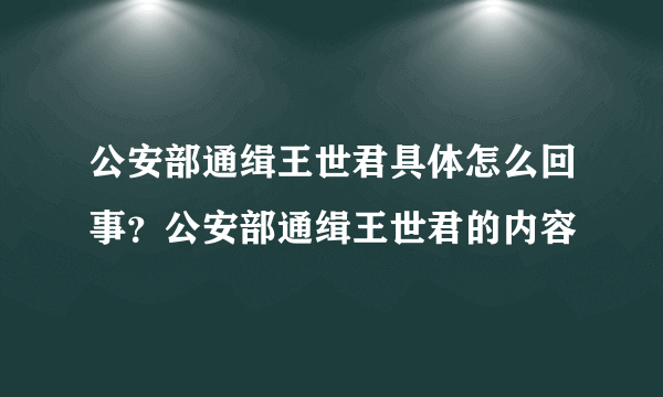 公安部通缉王世君具体怎么回事？公安部通缉王世君的内容