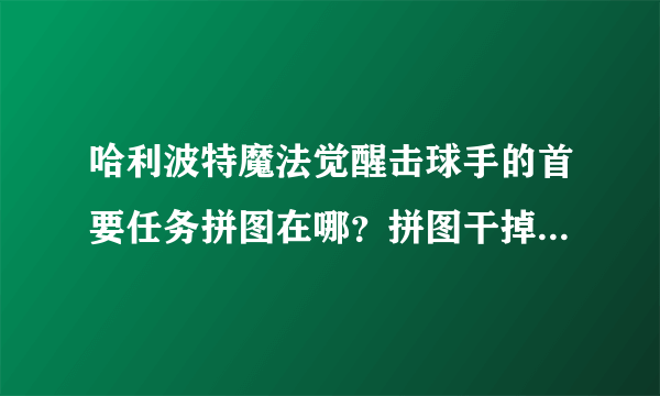 哈利波特魔法觉醒击球手的首要任务拼图在哪？拼图干掉找球手位置介绍