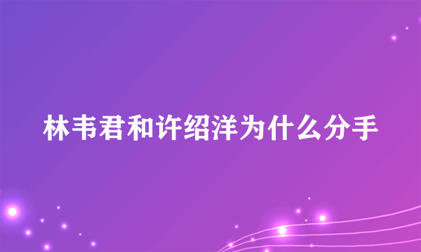 林韦君和许绍洋为什么分手