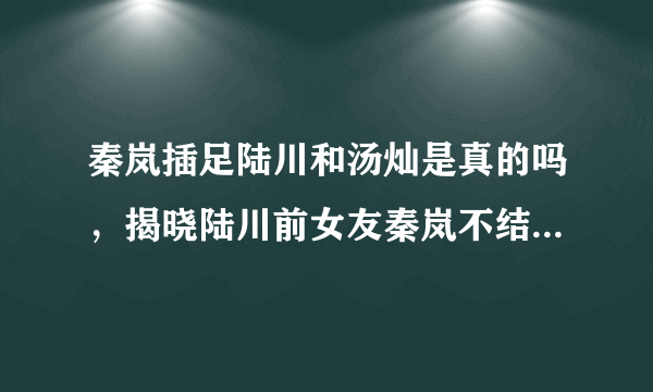 秦岚插足陆川和汤灿是真的吗，揭晓陆川前女友秦岚不结婚的真相_飞外网