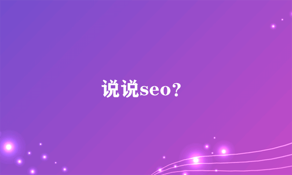 说说seo？