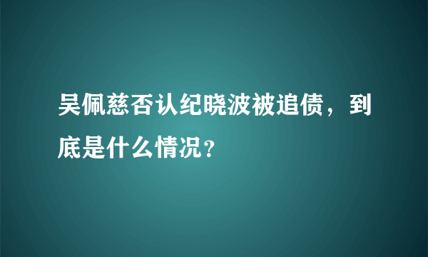 吴佩慈否认纪晓波被追债，到底是什么情况？