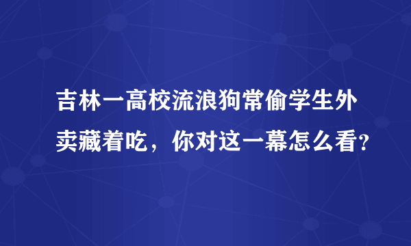 吉林一高校流浪狗常偷学生外卖藏着吃，你对这一幕怎么看？