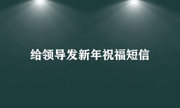 给领导发新年祝福短信