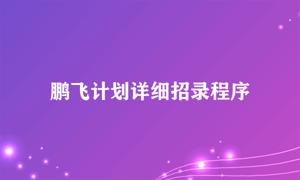 鹏飞计划详细招录程序