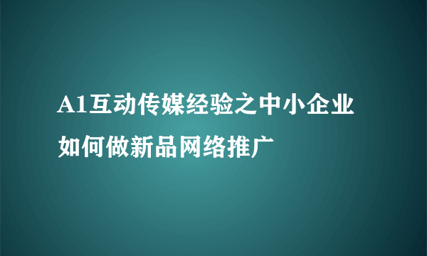 A1互动传媒经验之中小企业如何做新品网络推广