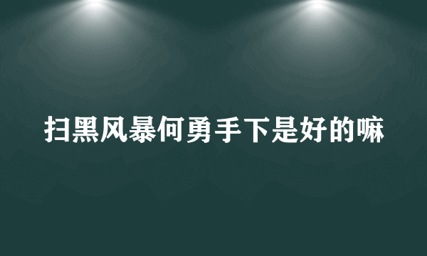 扫黑风暴何勇手下是好的嘛