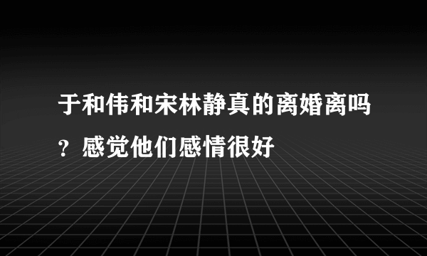 于和伟和宋林静真的离婚离吗？感觉他们感情很好