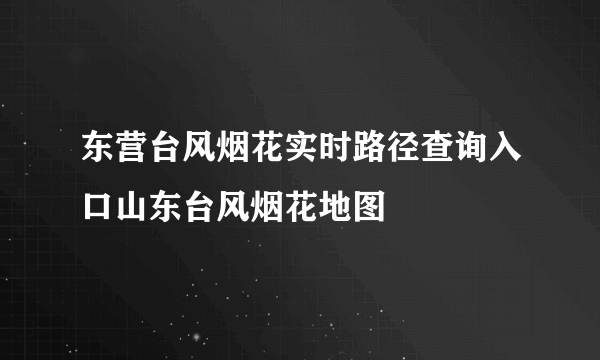 东营台风烟花实时路径查询入口山东台风烟花地图