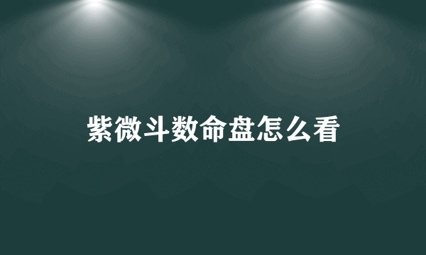 紫微斗数命盘怎么看