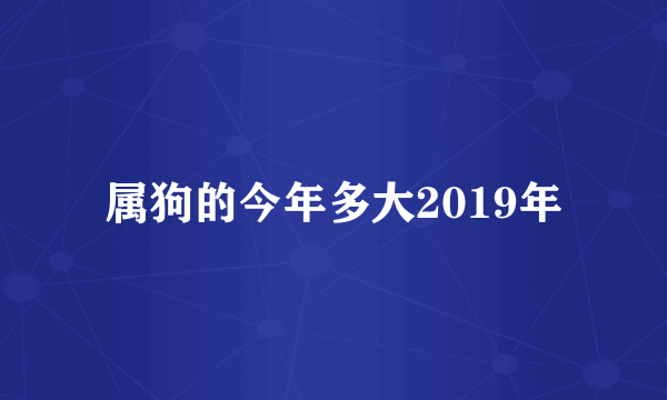 属狗的今年多大2019年