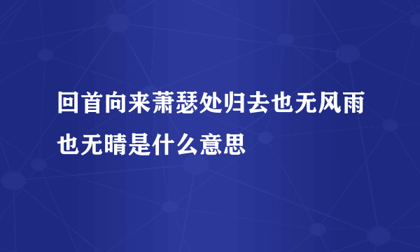 回首向来萧瑟处归去也无风雨也无晴是什么意思