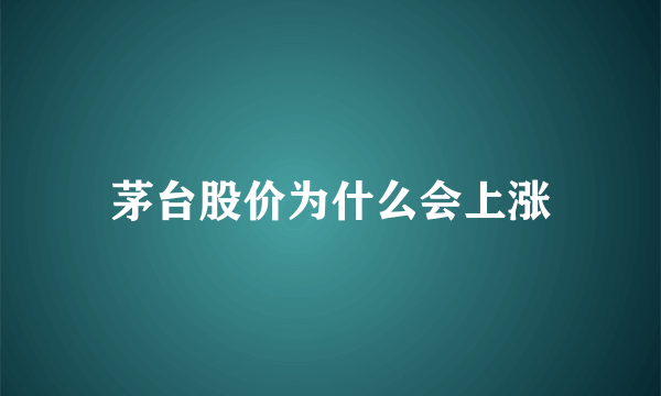 茅台股价为什么会上涨