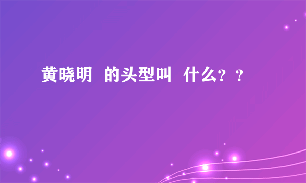 黄晓明  的头型叫  什么？？