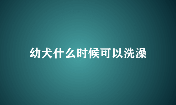 幼犬什么时候可以洗澡