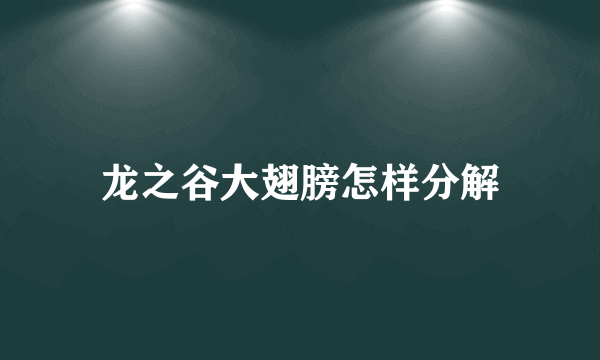 龙之谷大翅膀怎样分解