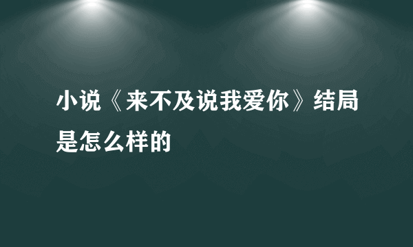 小说《来不及说我爱你》结局是怎么样的