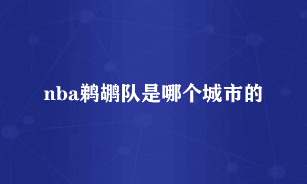 nba鹈鹕队是哪个城市的