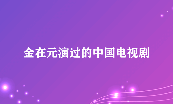 金在元演过的中国电视剧