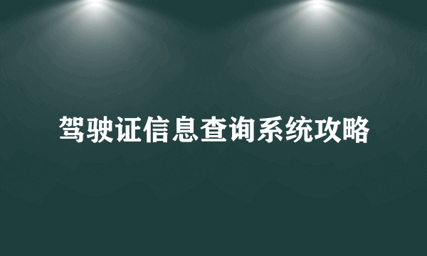 驾驶证信息查询系统攻略