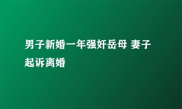 男子新婚一年强奸岳母 妻子起诉离婚 