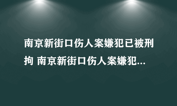 南京新街口伤人案嫌犯已被刑拘 南京新街口伤人案嫌犯已被刑拘，事件详情始末曝光