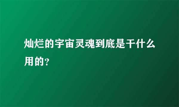 灿烂的宇宙灵魂到底是干什么用的？