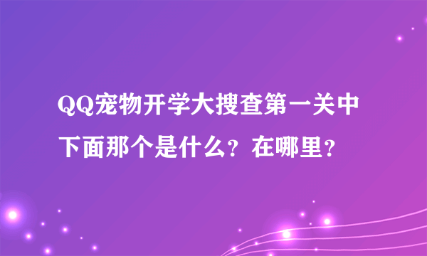 QQ宠物开学大搜查第一关中下面那个是什么？在哪里？