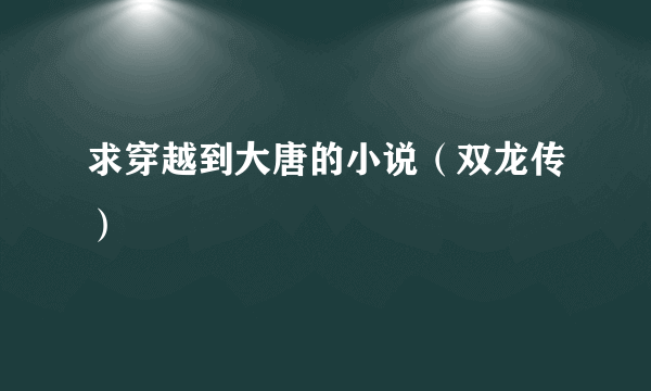 求穿越到大唐的小说（双龙传）