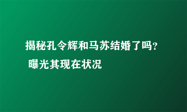 揭秘孔令辉和马苏结婚了吗？ 曝光其现在状况